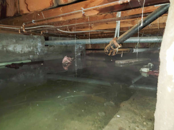Best Water damage restoration near me  in Kent City, MI