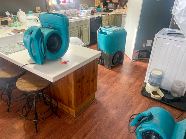 Best Flood damage cleanup  in Kent City, MI