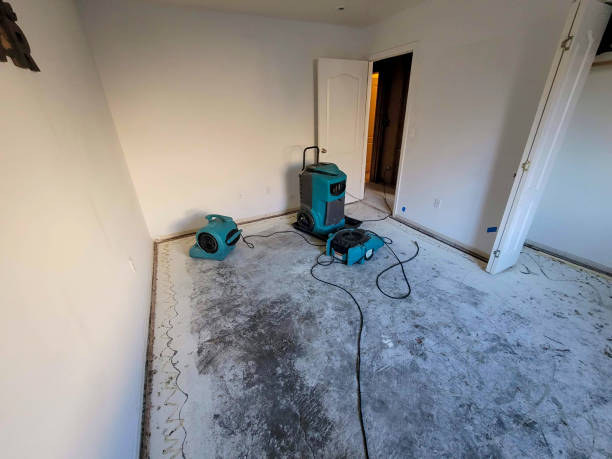 Best Emergency water damage restoration  in Kent City, MI