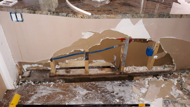 Best Carpet water damage restoration  in Kent City, MI