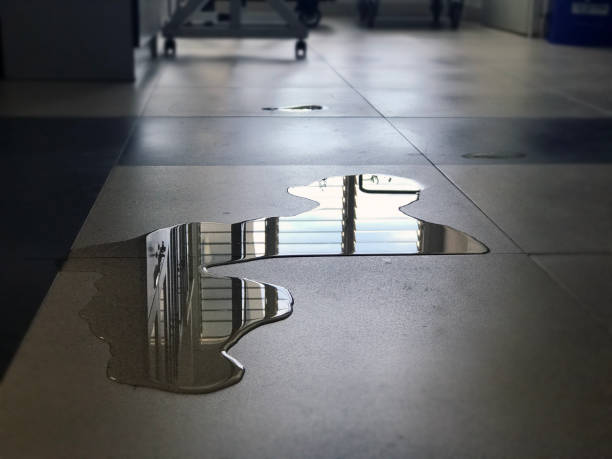 Best Water damage contractors near me  in Kent City, MI