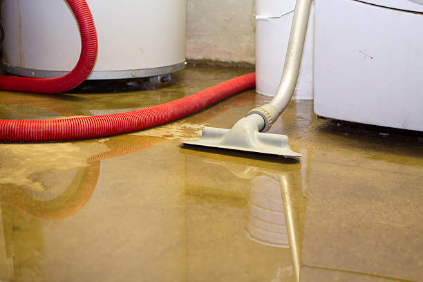 Best Water damage restoration near me  in Kent City, MI