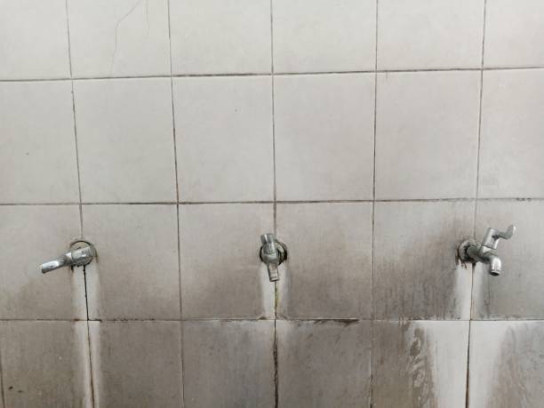 Best Basement water damage restoration  in Kent City, MI