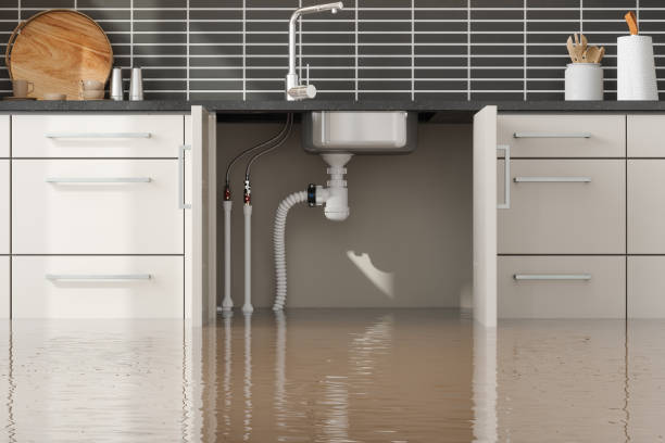 Best Mold removal after water damage  in Kent City, MI