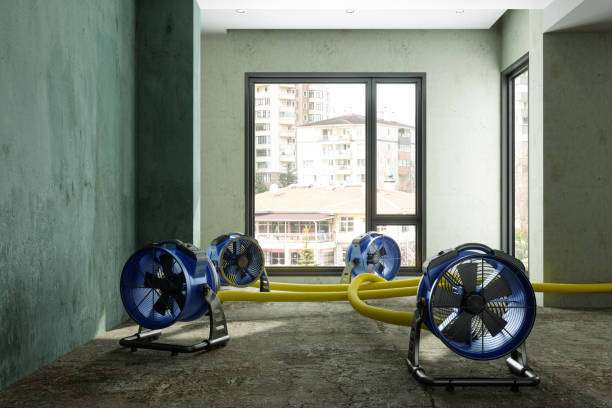 Best Fire Damage Restoration  in Kent City, MI